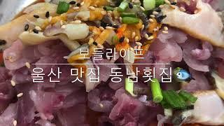 [보들라이프] 울산 맛집 동남횟집 스페셜물회