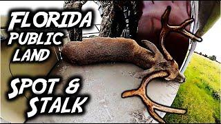 BIG BUCK DOWN: Spot & Stalk on South Florida Public Land