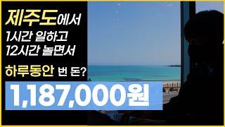 제주도에서 하루 100만원? 디지털노마드의 찐 장단점