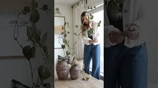 DIY RUSTIC BRANCH || HIGH-END DECOR ON A BUDGET #decorinspo #homedecor #diy