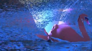 Bring Back The Light - Ginger Leigh