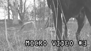 Micro video Karlskoga - #3 Hunting tower