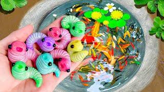 Catch Strange Ornamental Fish In Tiny Pond, Shrimp, Turtle, Dragon Guppies, Swordtail Fish, Goldfish