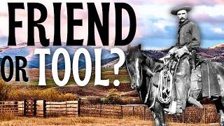 Are Horses Friends or Tools?