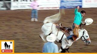 Saddle Bronc Riding - 2023 Wellington Pro Rodeo | Friday