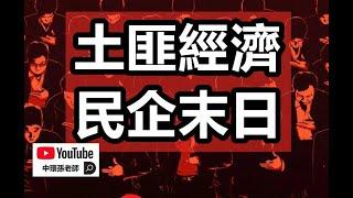 政經孫老師｜土匪經濟，民企末日，中國政府為何要大肆收割民企？