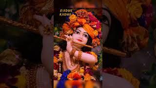 tatvan ko tatva jag jeevan shri krishna! Shri radhe!#krishna #bhakti #viral #radheradhe #trending