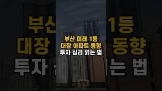 부산 미래 1등 대장 아파트 동향, 투자 심리 읽는 법