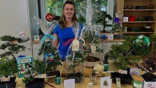 Bonsai Direct Gifts with Amber, Our Gifting Expert.