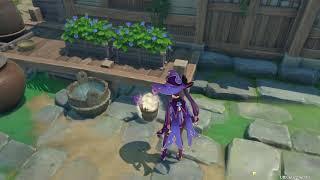5 Primogems for 3 Days at this spot - Genshin Impact