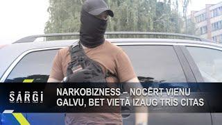 Narkotiku apkarošana – nocērt vienu galvu, bet vietā izaug trīs citas | Sargi S01E02