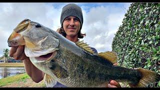 How to Fish Florida Ponds for Bass (What to look for)