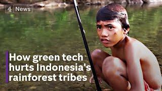 Uncontacted rainforest tribe endangered by race for green tech