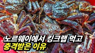 먹을줄 몰라 팔기만 했다가 부자된 나라, 연어, 고등어, 킹크랩의 왕국 노르웨이를 가다 1~6편 몰아보기