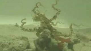 bipedal walking octopus