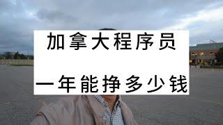 加拿大程序员，一年能挣多少钱