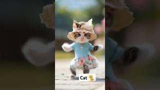 Can cat  #cat #royalcat #catcomedy #viralvideo #cute #catking #shorts #subscribe