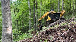 Bell Ultra C Track feller buncher…Cutting hardwood!