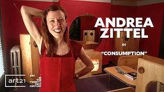 Inside Andrea Zittel’s Experimental Art Home | Art21