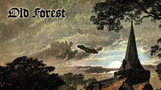 Old Forest - Graveside (Full Album Premiere)