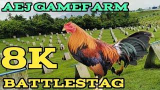 GANITO PALA KALAKI ANG FARM NG AEJ GAMEFARM I MALILITO KA DAMING PAG PIPILIAN