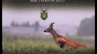 Hunting Roebuck in Germany - The thrill of the chase part 2