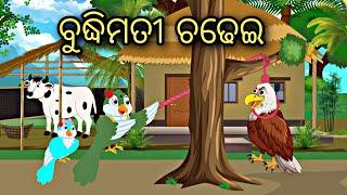 Budhimati Chadhei || Odia Stories || Odia Bird Story || Odia Gapa #odia #cartoon #birds #story