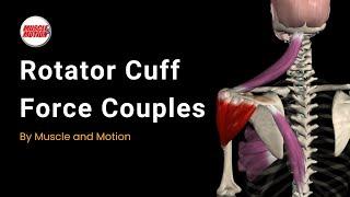 The Rotator Cuff Force Couples