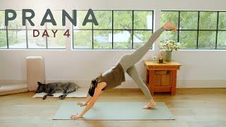 Prana - Day 4