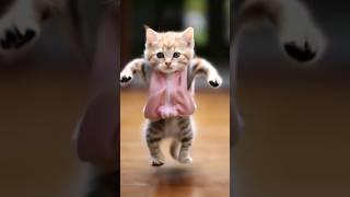 so funny cat videos  #cat #catlover #funnycat #shortvideo #shortsfeed #shorts #shortsvideo