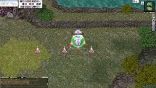 Ragnarok Online - Soul Ascetic (Testing New Gear)