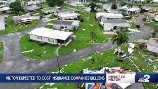 Hurricane Milton's impact on Florida home insurance