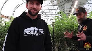 Rising Source with Oliver: Surf the Canopy PT 2: Farm Tour- Royal Grown Radio