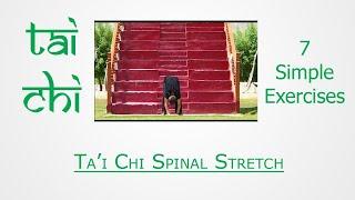 T'ai Chi | Sensei Sandeep Desai | T'ai Chi Spinal Stretch