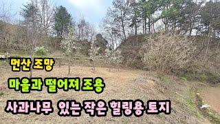 [No.764]예쁜 사과나무 있는 작은 힐링용 소형토지