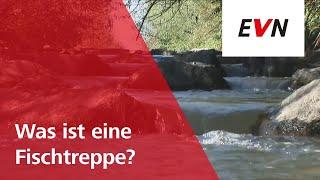 Was ist eine Fischtreppe?