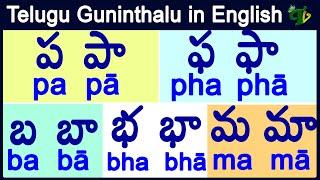 pa pha ba bha ma guninthalu in English | ప ఫ బ భ మ గుణింతాలు| How to write telugu guninthalu