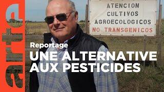 Argentine : les pionniers de l’après-glyphosate (2018) | ARTE Reportage