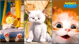 Mighty Mike  Cat Compilation  Cartoon for Kids