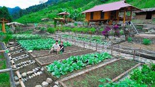 3 Years Living in the forest - Harvesting Vegetables to sell at the market, Cooking, Gardening, FARM