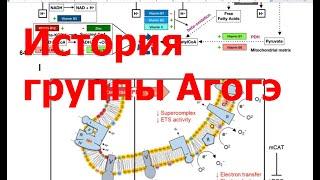 История развития Агогэ