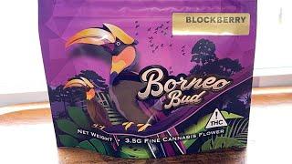 Blockberry by Borneo Bud | REVIEW