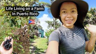 Filipina simply living on a farm in Puerto Rico