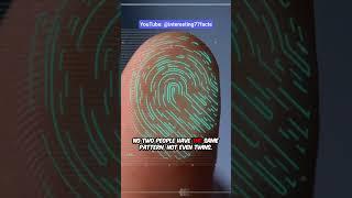 Unique Fingerprints: Nature’s Signature. 0114