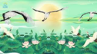 “Fairy music everywhere” Eight relaxing Chinese New Music Four Seasons Peace and Harmony