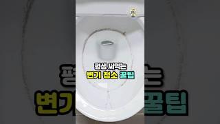 알면 평생 써먹는 변기 청소 꿀팁 #살림팁 #꿀팁 #변기