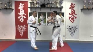 WFKO. Low kick in the clinch - kumite Shihan Alexei Gorokhov. Lesson 8