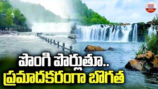 Flood water in Bogatha Waterfall : పొంగి పొర్లుతూ.. ప్రమాదకరంగా బొగత  | ABN Digital Exclusives