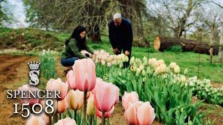 Episode #29: Spring Arrives at Althorp