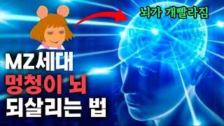 잃어버린 아이큐가 최소 20은 올라갈겁니다